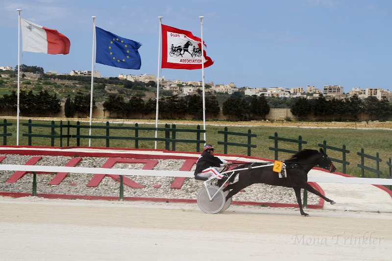2015_Race 2 - 05.JPG